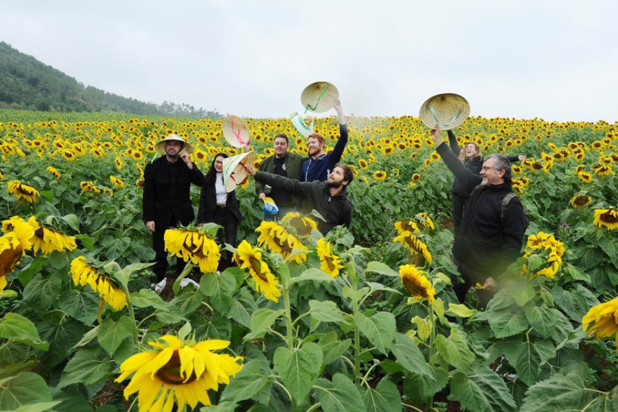 Sunflower Field is also a place to recharge your batteries. Source: Vietnam Law Newspaper 