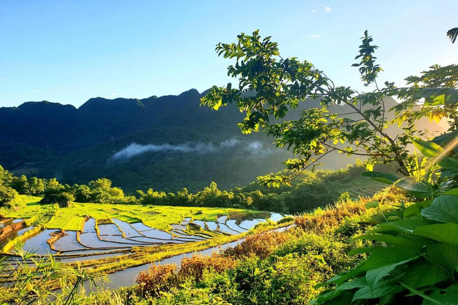 Fresh scenery at Pu Luong Nature Reserve