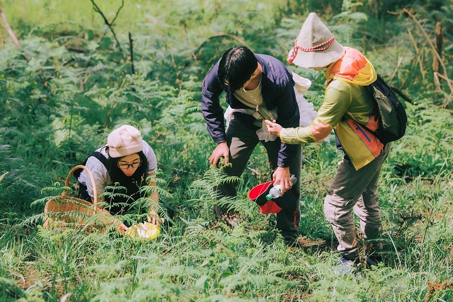For mushroom-picking experience, it’s best to wear clothes that cover your arms and legs