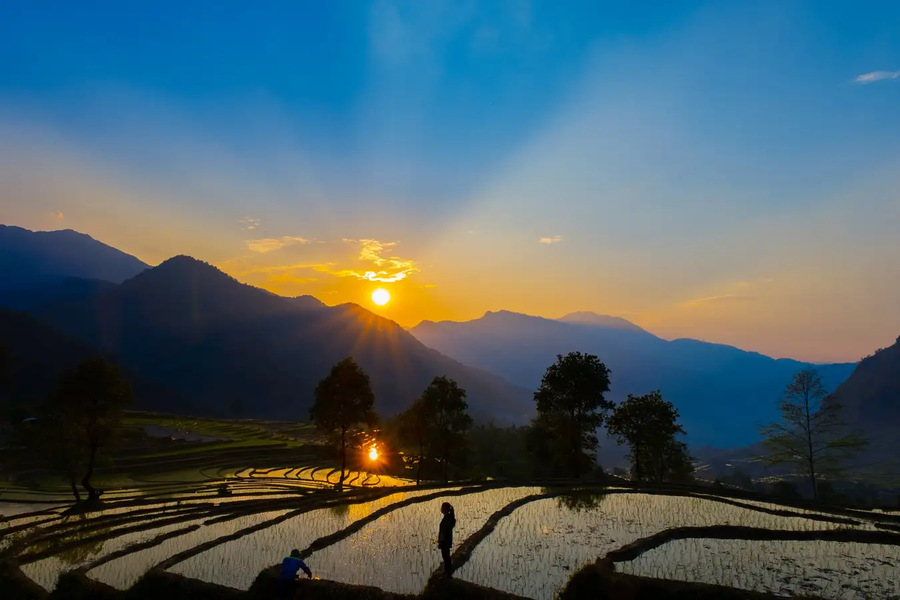 Sunset on terraced fields is always a golden time for photographers