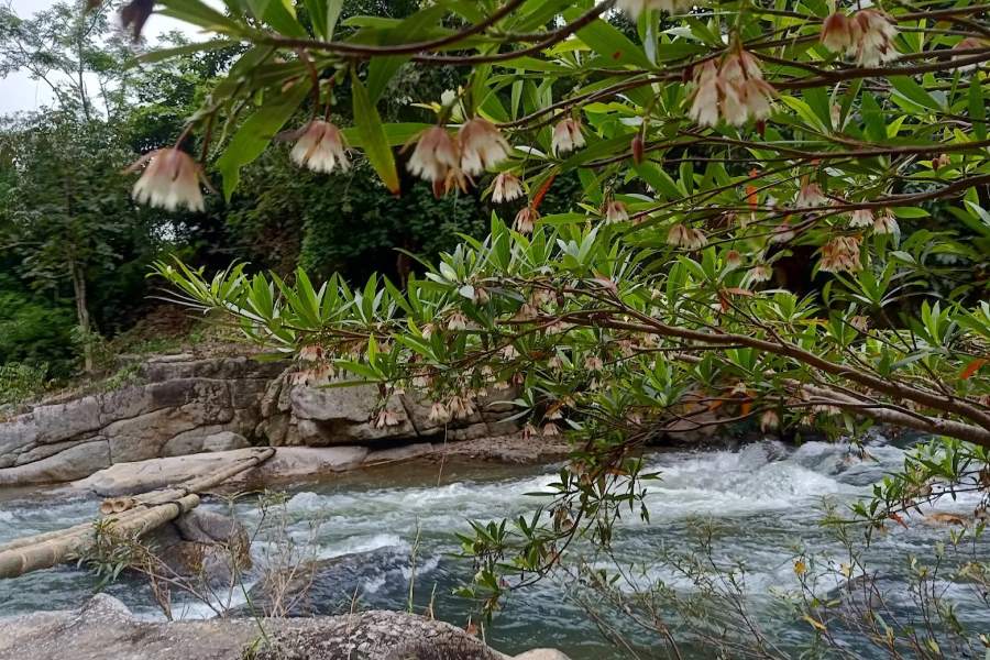 room waterfall bac kan travel