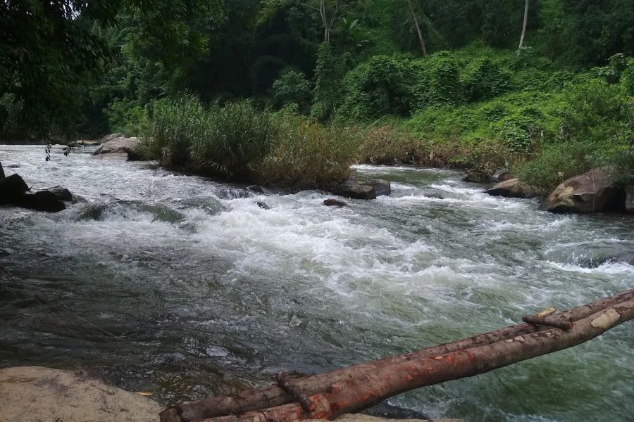 Room Waterfall offers a naturally stunning atmosphere