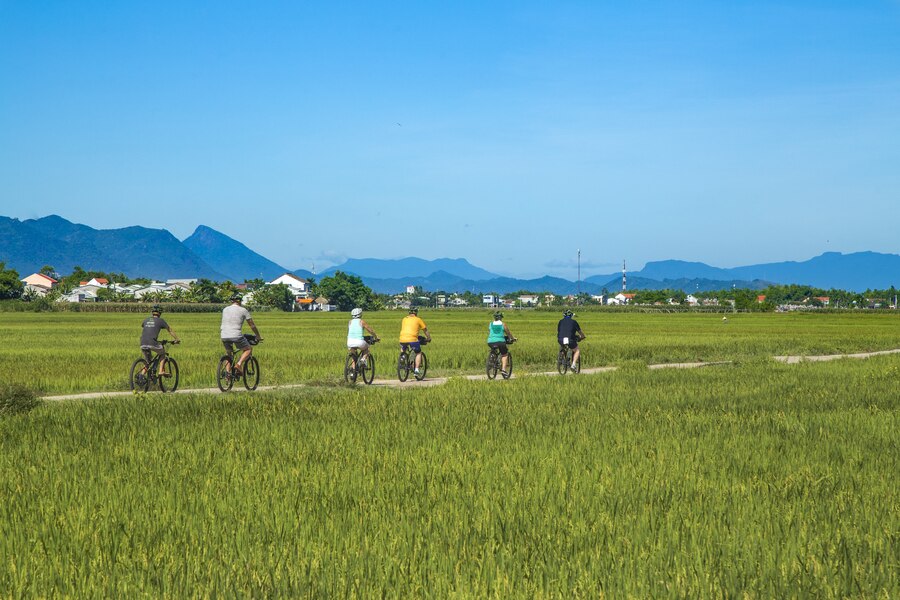 Verdant rice fields and airy space in rural Hoi An. Photo: Tours4fun