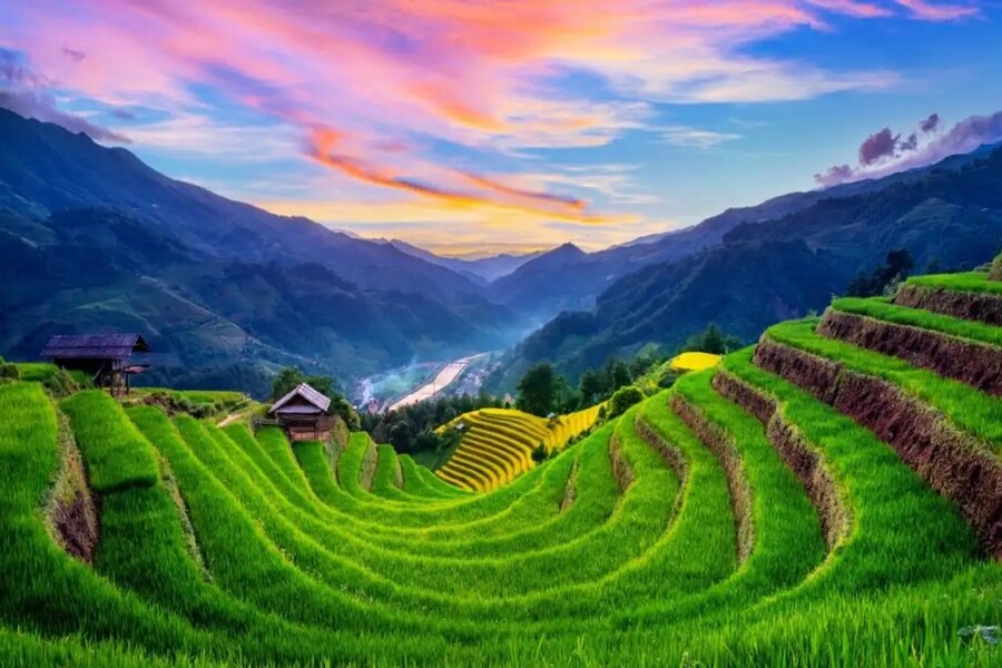 Mountains and terraced fields in Sapa Town