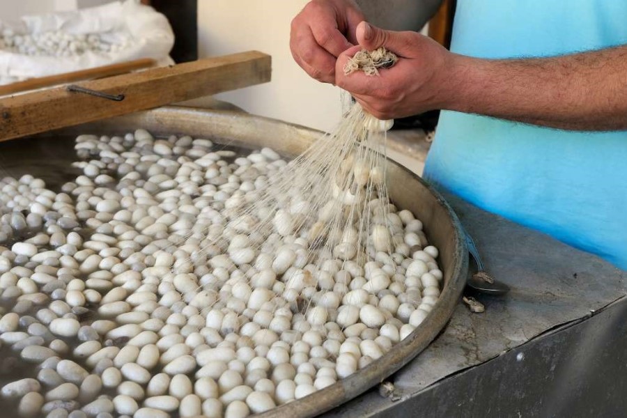 A very first step of Thai silk weaving