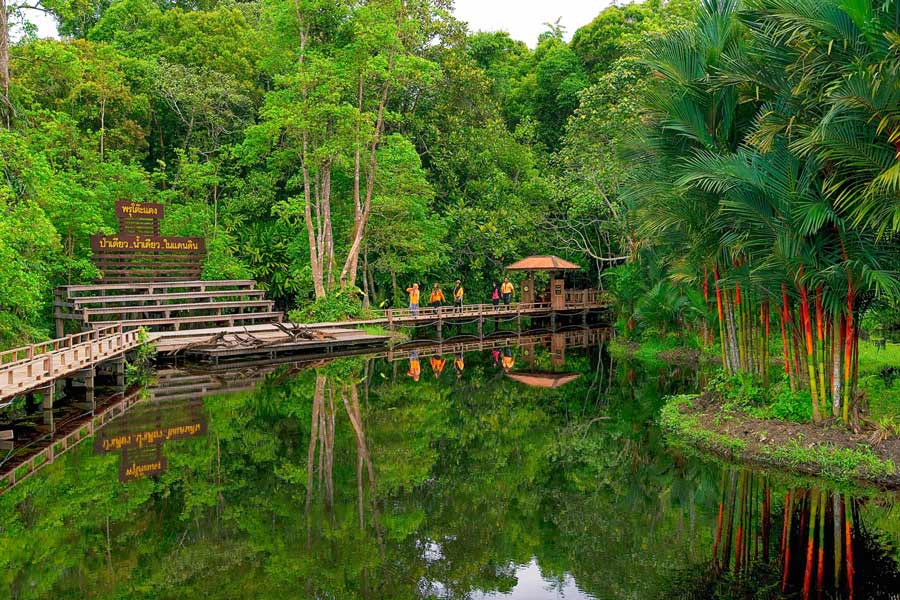 Top highlights in Sirindhorn Peat Swamp Forest