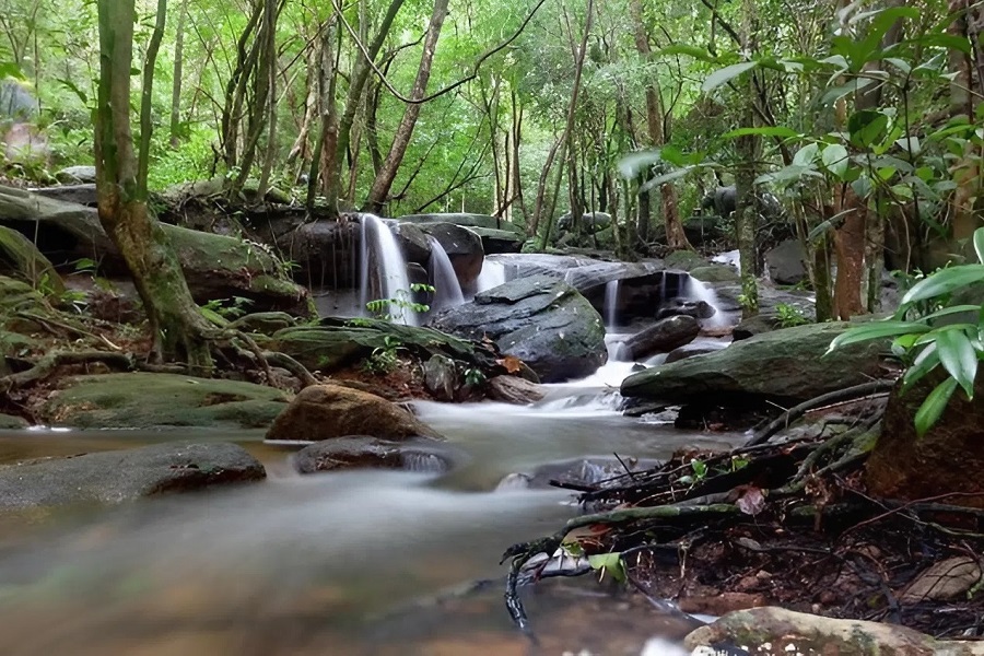 You can reach Tranh Stream by different routes, choosing comfort or adventure