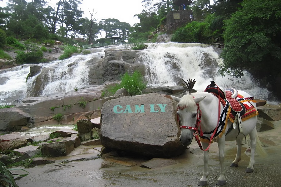 Near the main entrance, local horse owners offer visitors short rides around Cam Ly Waterfall