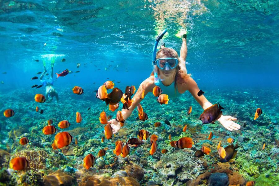 The activity of snorkeling