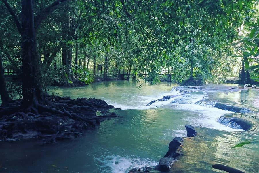 Than Bok Khorani National Park, Phuket