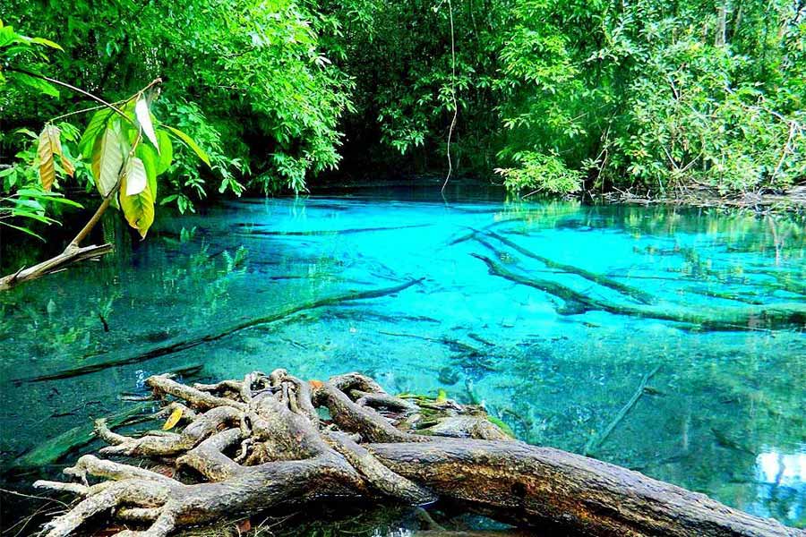 The Emerald Pool, Khao Phra Bang Khram Nature Reserve