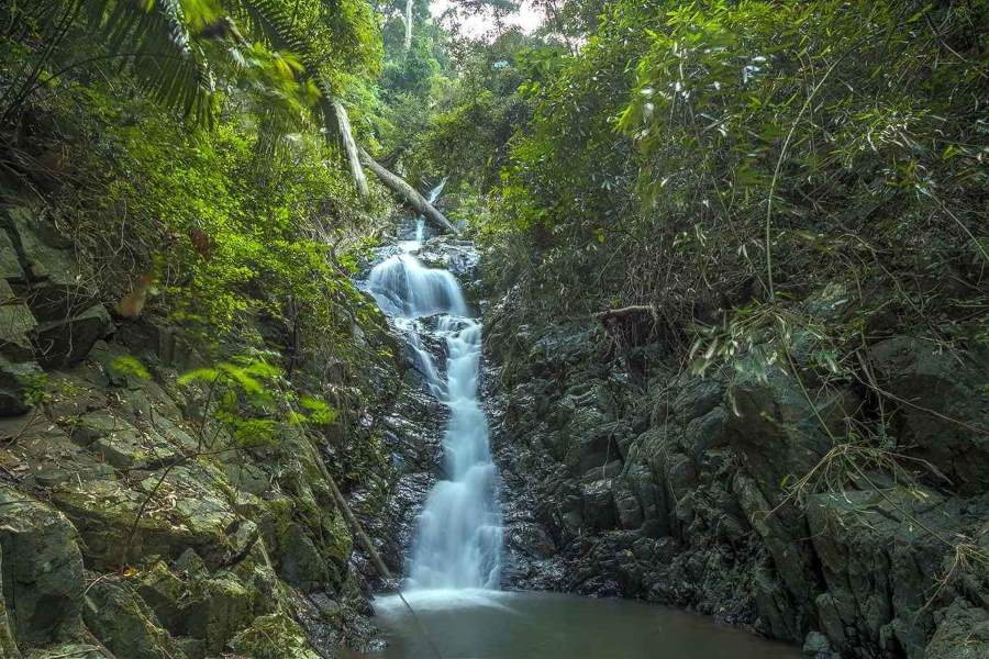 Trekking the Cardamon Mountain 