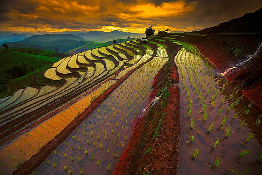 Those terraced fields look like after farmers planted a new crop - Photo: wallpaperflare