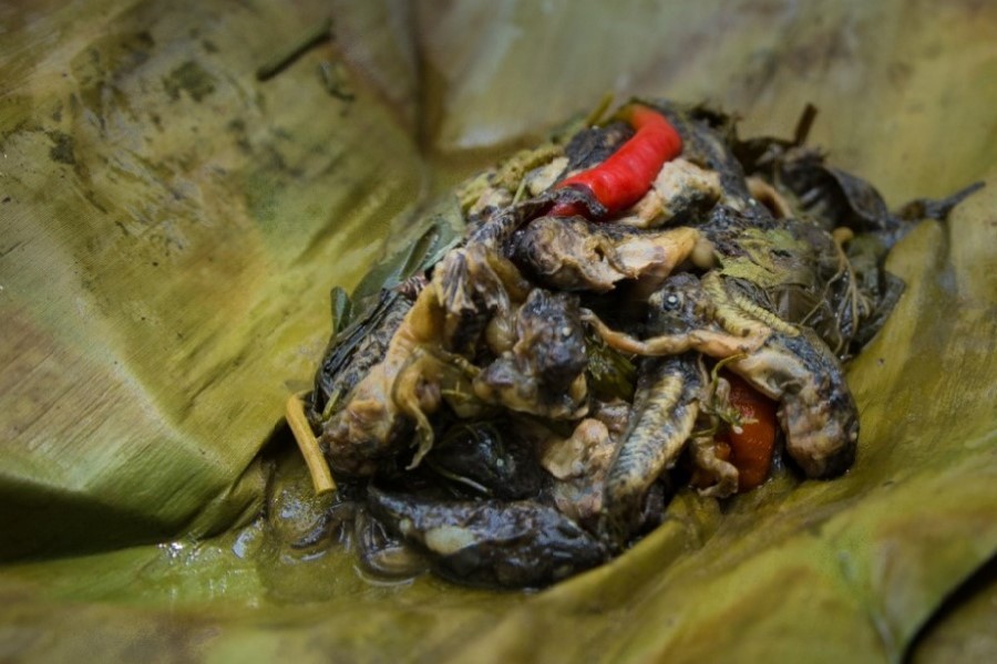 Steamed tadpoles captures the uniqueness of Isaan local people tradition