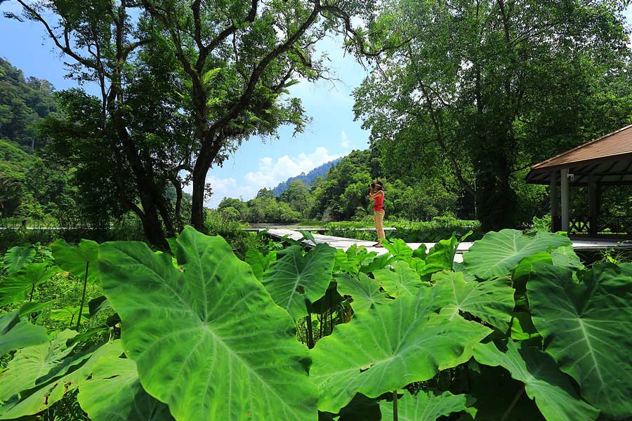 About Thale Ban National Park