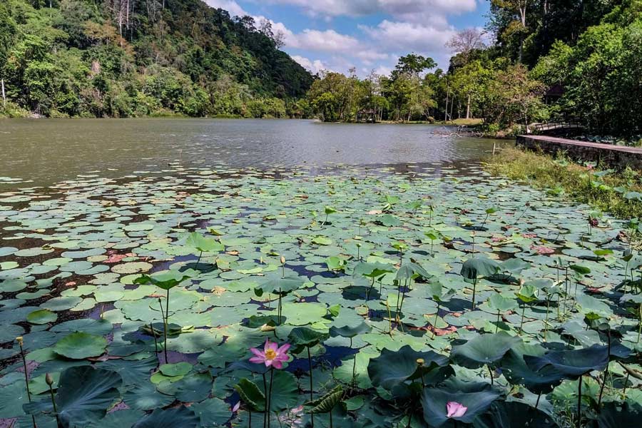 Top highlights in Thale Ban National Park