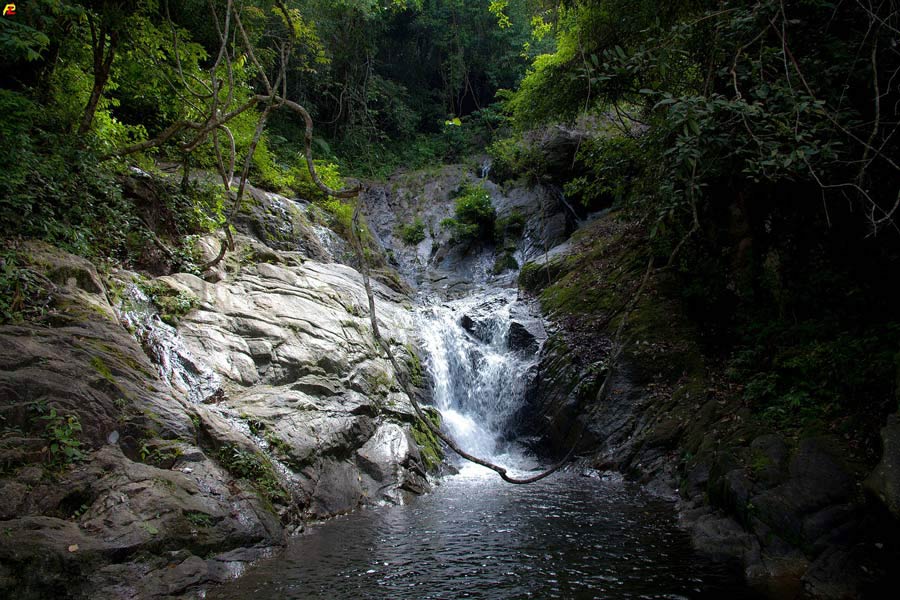 Top highlights in Thale Ban National Park