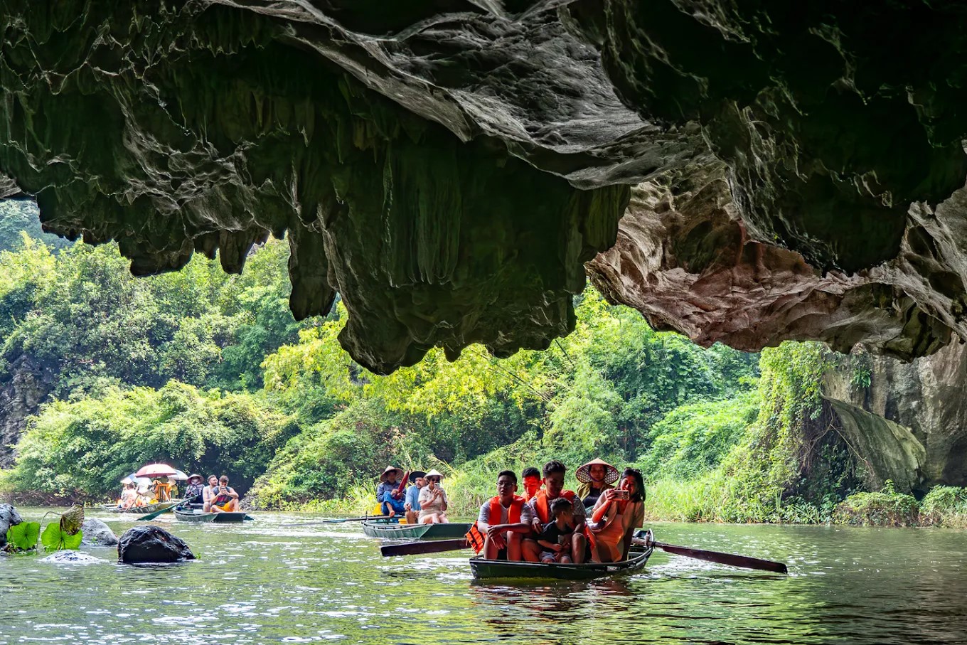 Rowboats in Tam Coc - Bich Dong