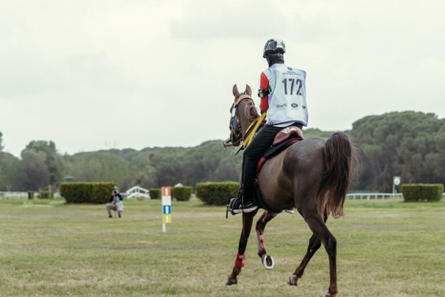 FEI World Endurance Championship in TIEP Malaysia - Photo: equisport