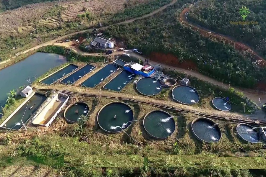 Taking a chance to visit the salmon research and farming station. Source: Tap chi Cong Thuong