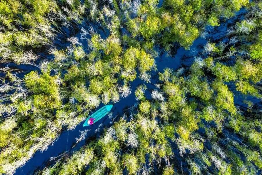 Tram Chim National Park has wild and idyllic beauty