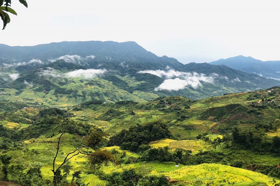 The ideal period to explore Ngoc Linh Peak is from December to March