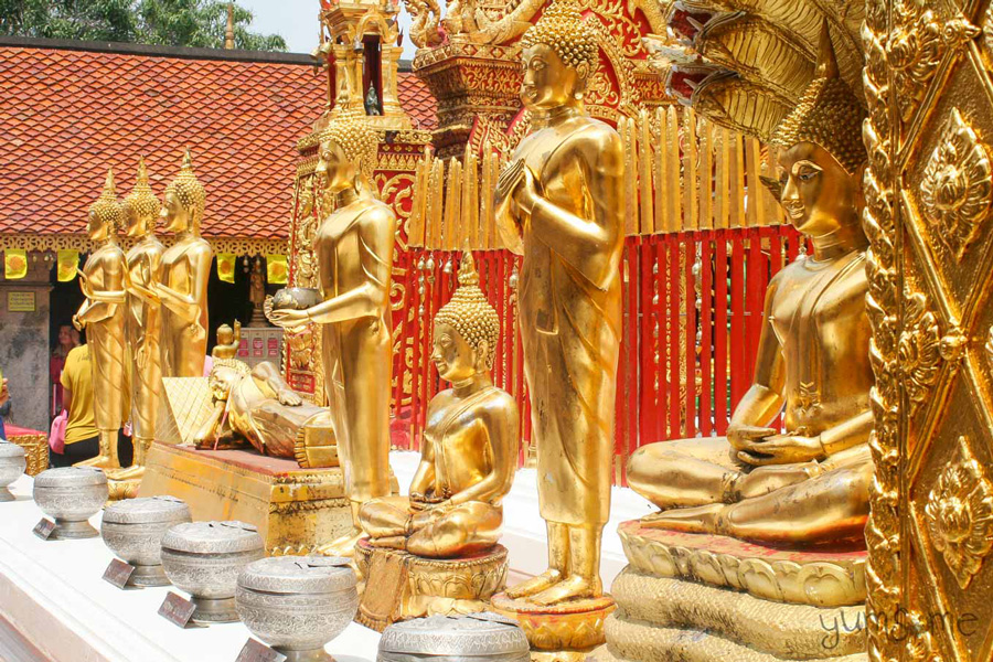 Buddha Statues and Shrines 