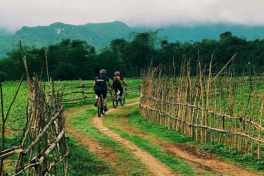 Cycling brings you closer to nature than any other means of transportation. Photo: TripAdvisor