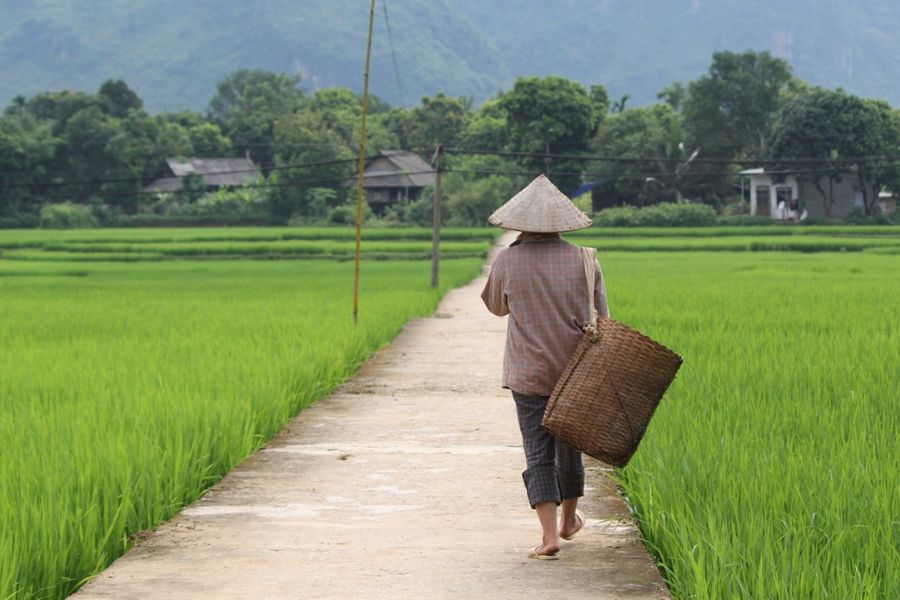 Rural areas in VietNam