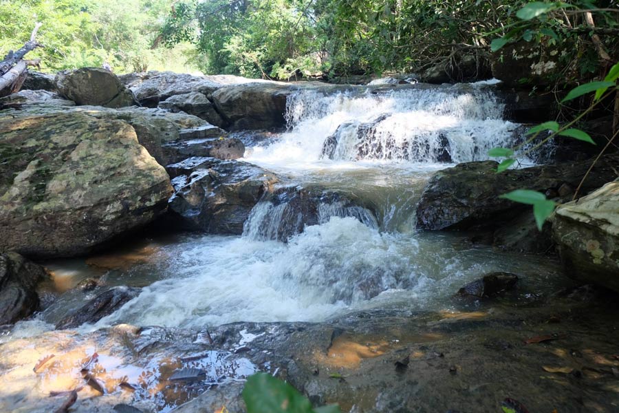 Highlights of Sai Thong National Park