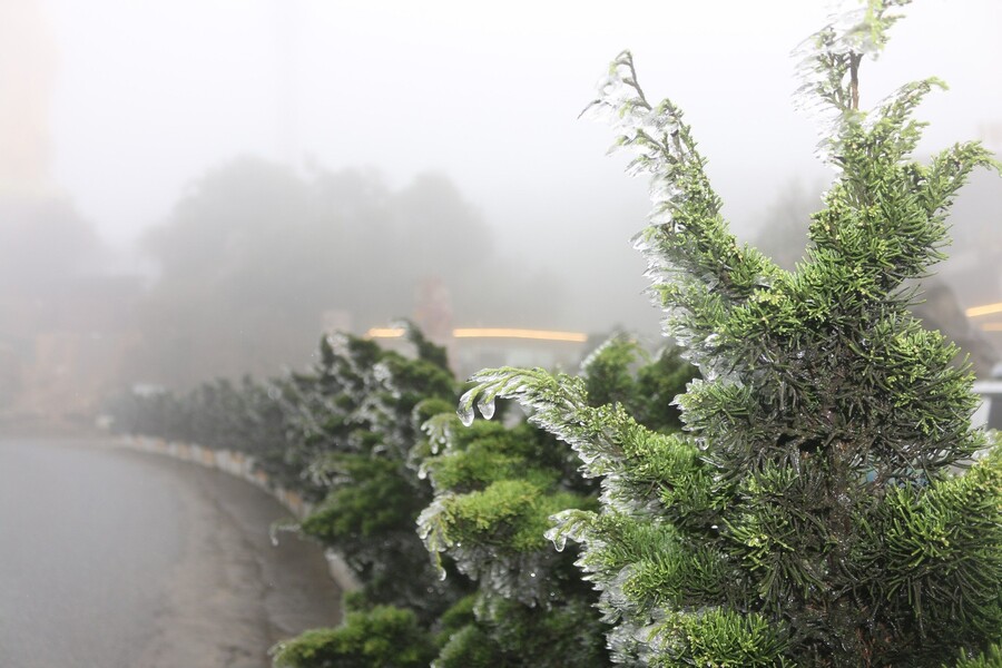 Frost appears on O Quy Ho Pass. Photo: CafeF