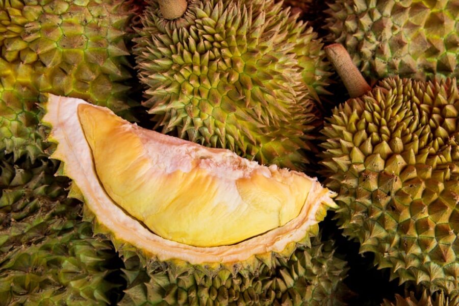 Durian fresh Ko Yo island