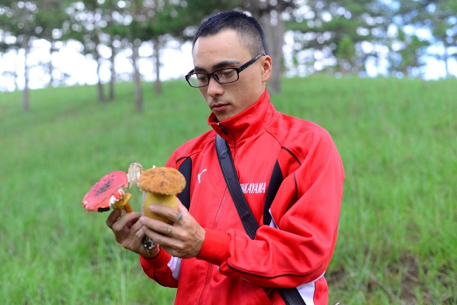 The pine forest by Tuyen Lam Lake is among the most mushroom-abundant areas in Da Lat