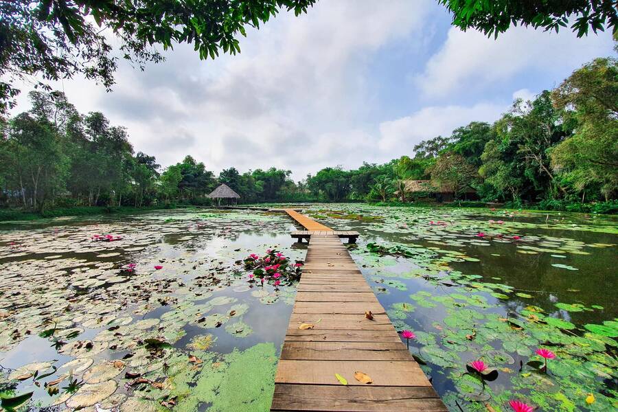 The lotus pond here is extremely beautiful and is a popular check-in place