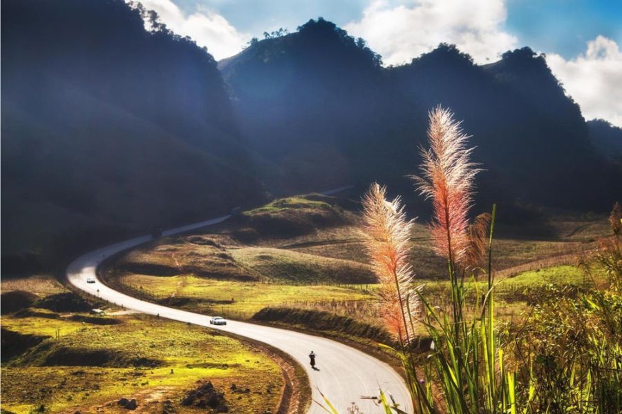 How to Get to Dairy Farm Moc Chau. 