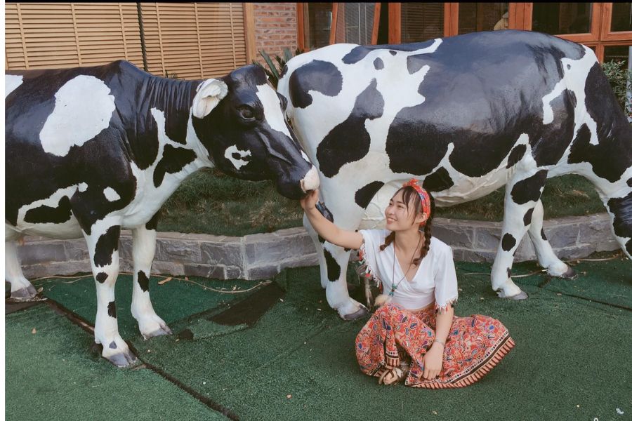 Moc Chau Dairy Farm isn’t just a place for hands-on experiences - it’s also a paradise for photography lovers.