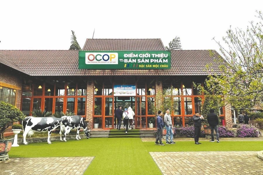 After exploring the farming and production processes at Moc Chau Dairy Farm, visitors can enjoy a variety of fresh dairy treats made on-site.