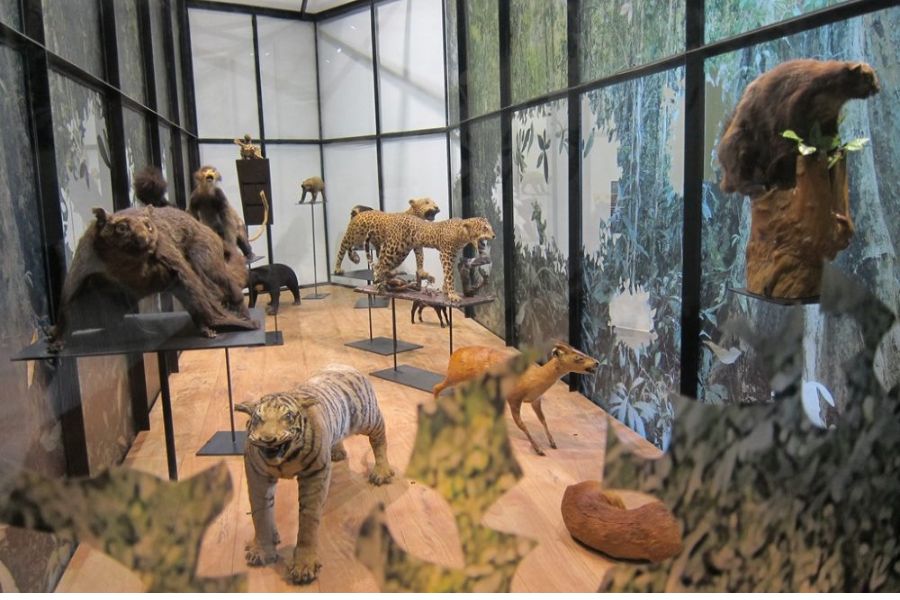 Biodiversity Exhibition Area