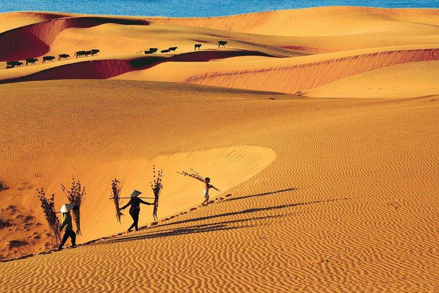 Best Time to Visit the Red Sand Dunes of Mui Ne