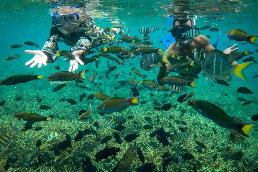 Perhentian wins for snorkeling and diving in Malaysia. Source: AMI Travel & Tours&nbsp;