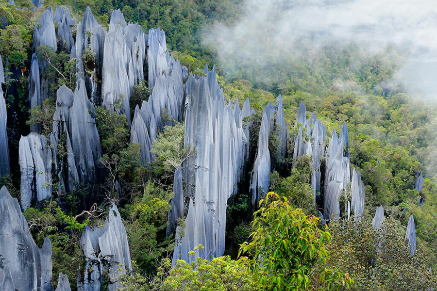 Sharp limestone peaks in ancient jungle