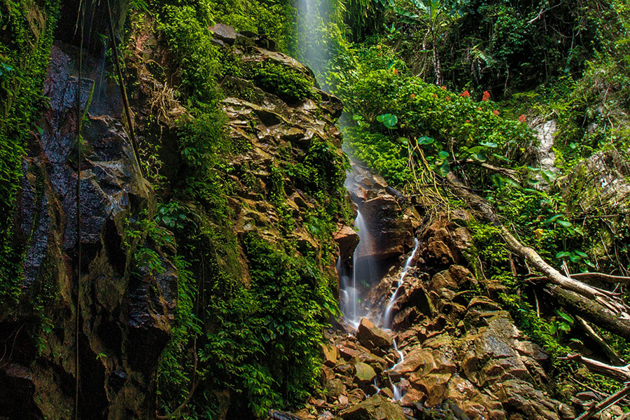 Hidden waterfall in the deep rainforest of Royal Belum Temengor