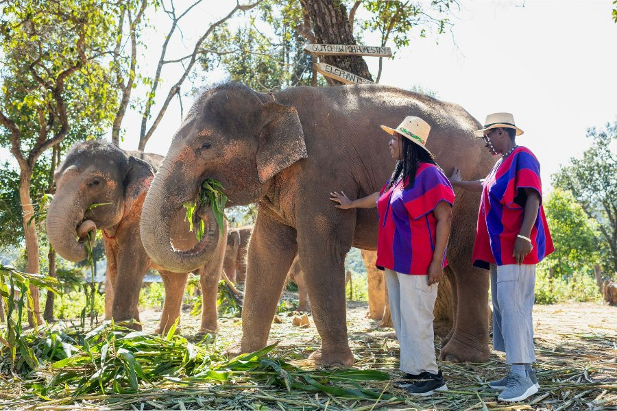 Visiting elephant sanctuary in Northern Thailand
