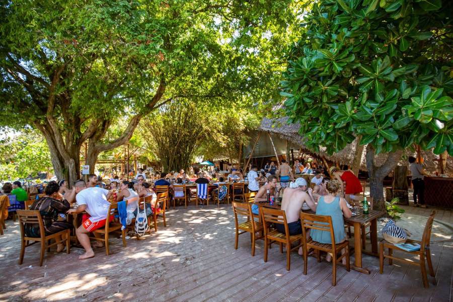 Enjoy delicious meals under the cool shade of trees 