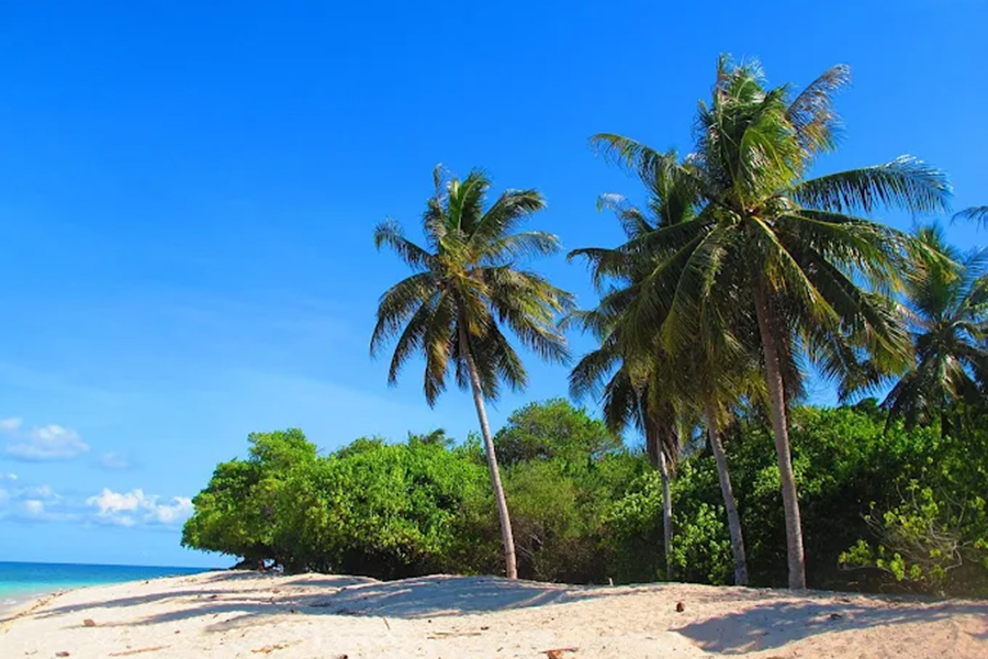 Turtle Island Park, Sabah