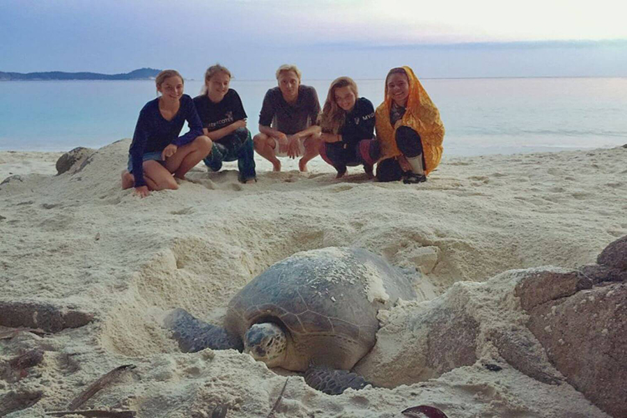 A Rare Moment: Watching a Sea Turtle Nest