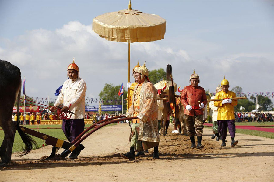 Cambodia Festivals: Royal Ploughing Ceremony