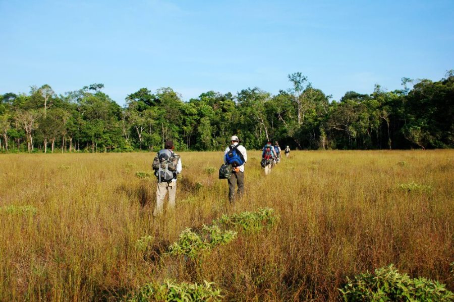Bring your essential items for trekking