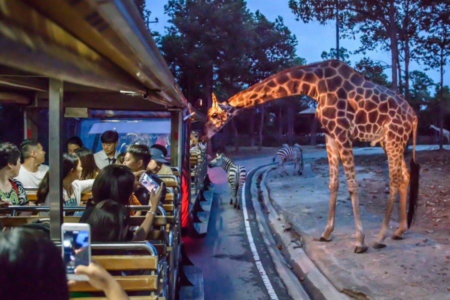 Chiang Mai Night Safari&nbsp;