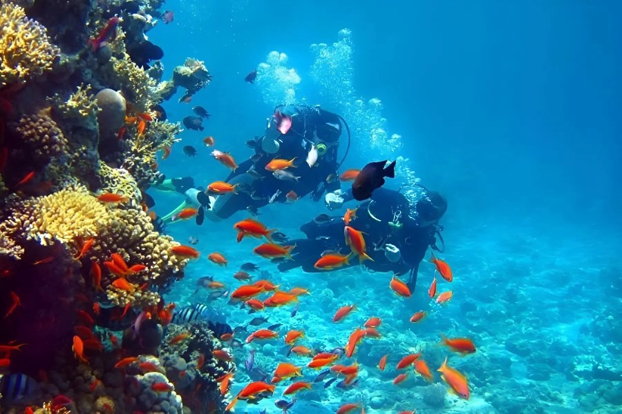 Snorkeling to see coral reefs at Koh Rong Samloem Island